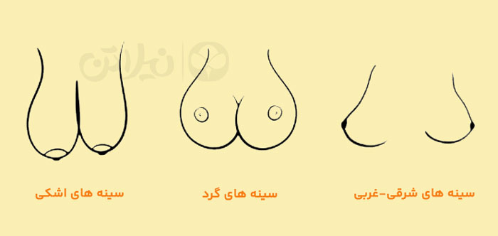 انواع فرم سینه بزرگ و استایل مناسب برای هر کدام